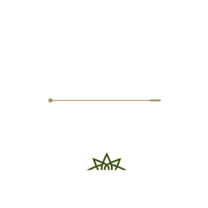 Vargas Luna
