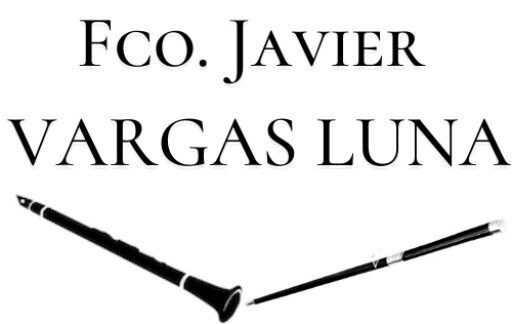 Francisco Javier Vargas Luna