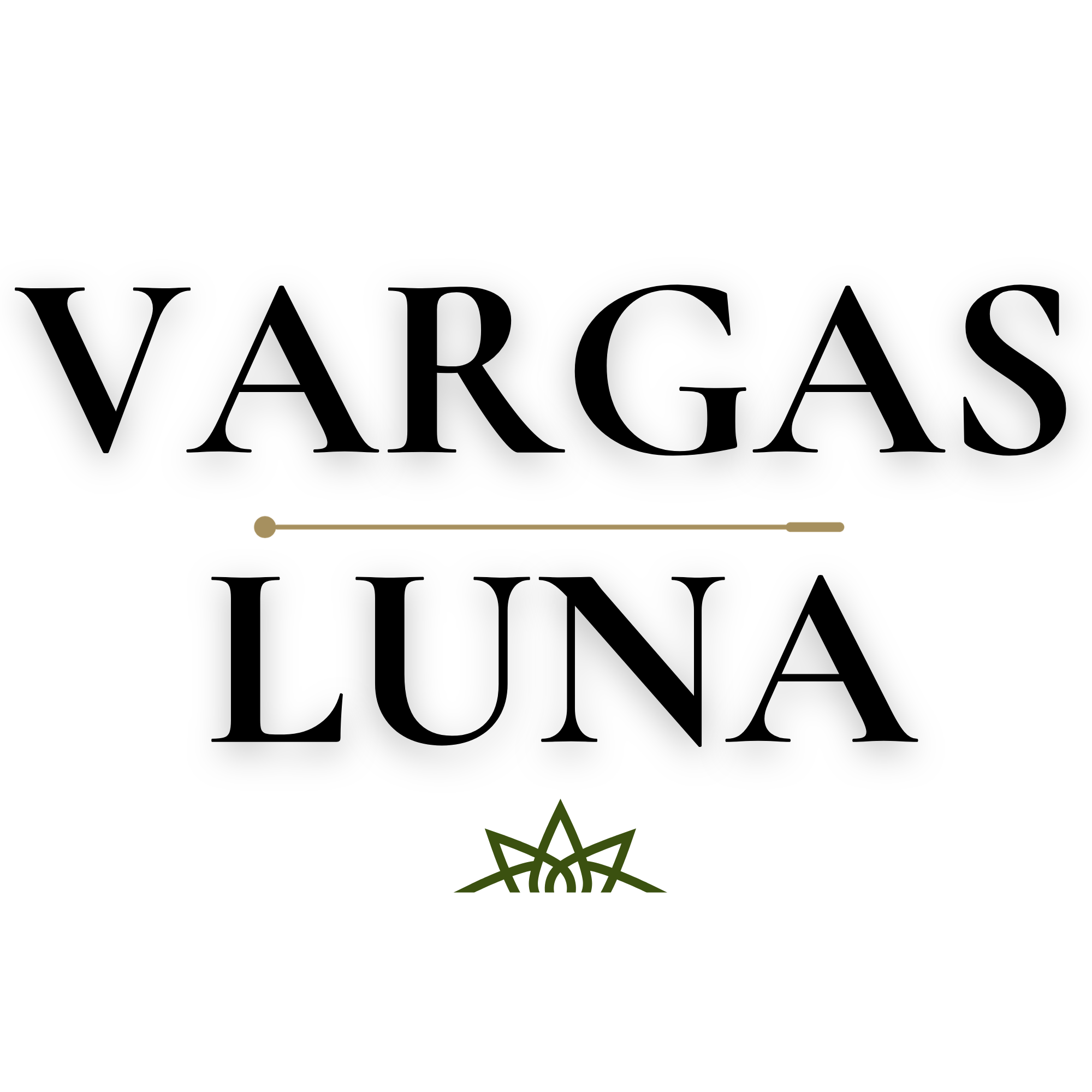 Vargas Luna Logo