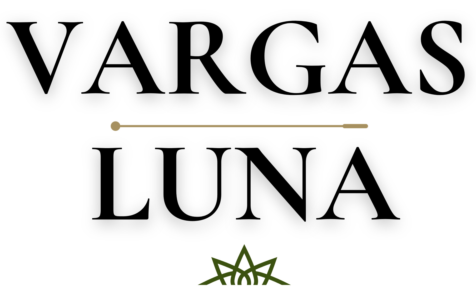 VARGAS LUNA